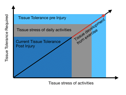 Tissue Tolerance